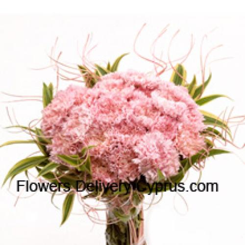 24 Pretty Pink Carnations