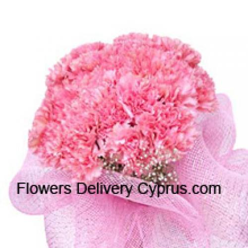 Cute 24 Pink Carnations