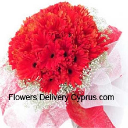 Cute 36 Red Gerberas