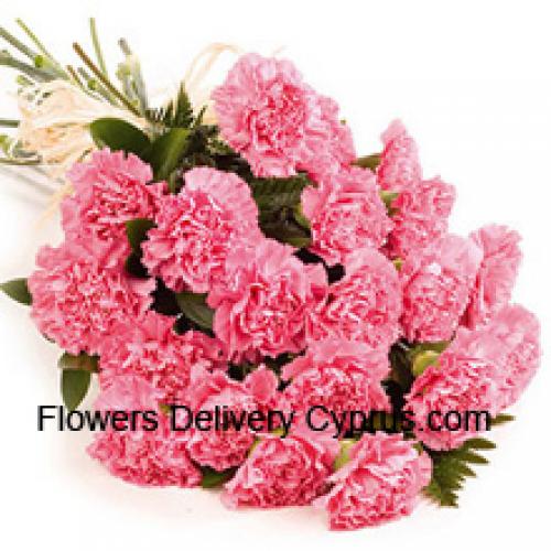 24 Charming Carnations