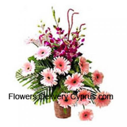 Sensational Gerberas with Orchids