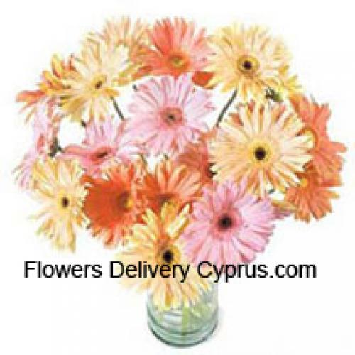 24 Gekleurde Gerbera's Assortiment