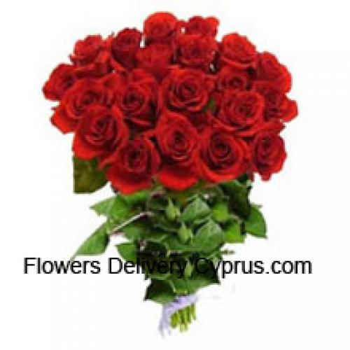 24 Deslumbrantes Rosas Rojas