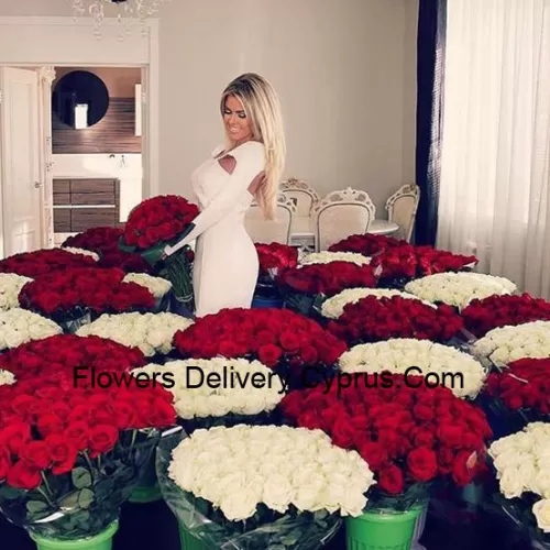 Unser Raum voller Rosen hat viele rote und weiße Rosenarrangements - Insgesamt sind 1501 Rosen im Paket enthalten