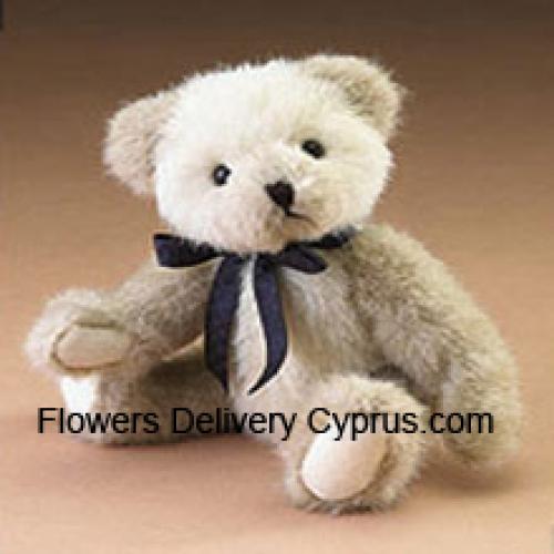 Een schattige 6 inch witte teddybeer