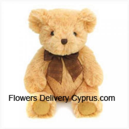 Knuffelbaar 6 Inch Bruine Teddy