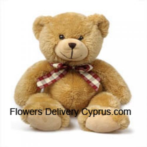 Prachtige 12 Inch Teddybeer