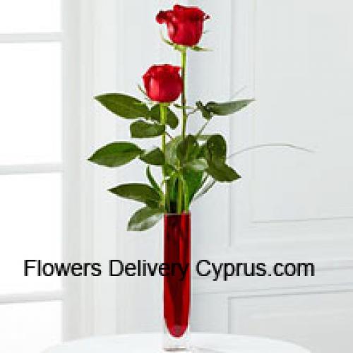 2 Dolci Rose Rosse in Vaso