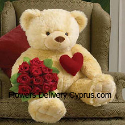 12 Rose Rosse con Orso di Peluche di 32 Pollici