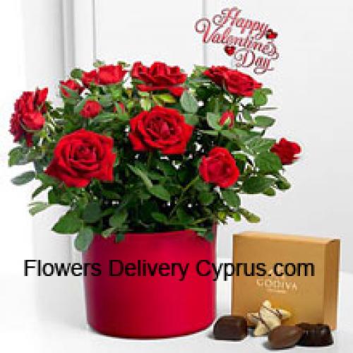 24 Rosas Rojas con deliciosos Chocolates Godiva